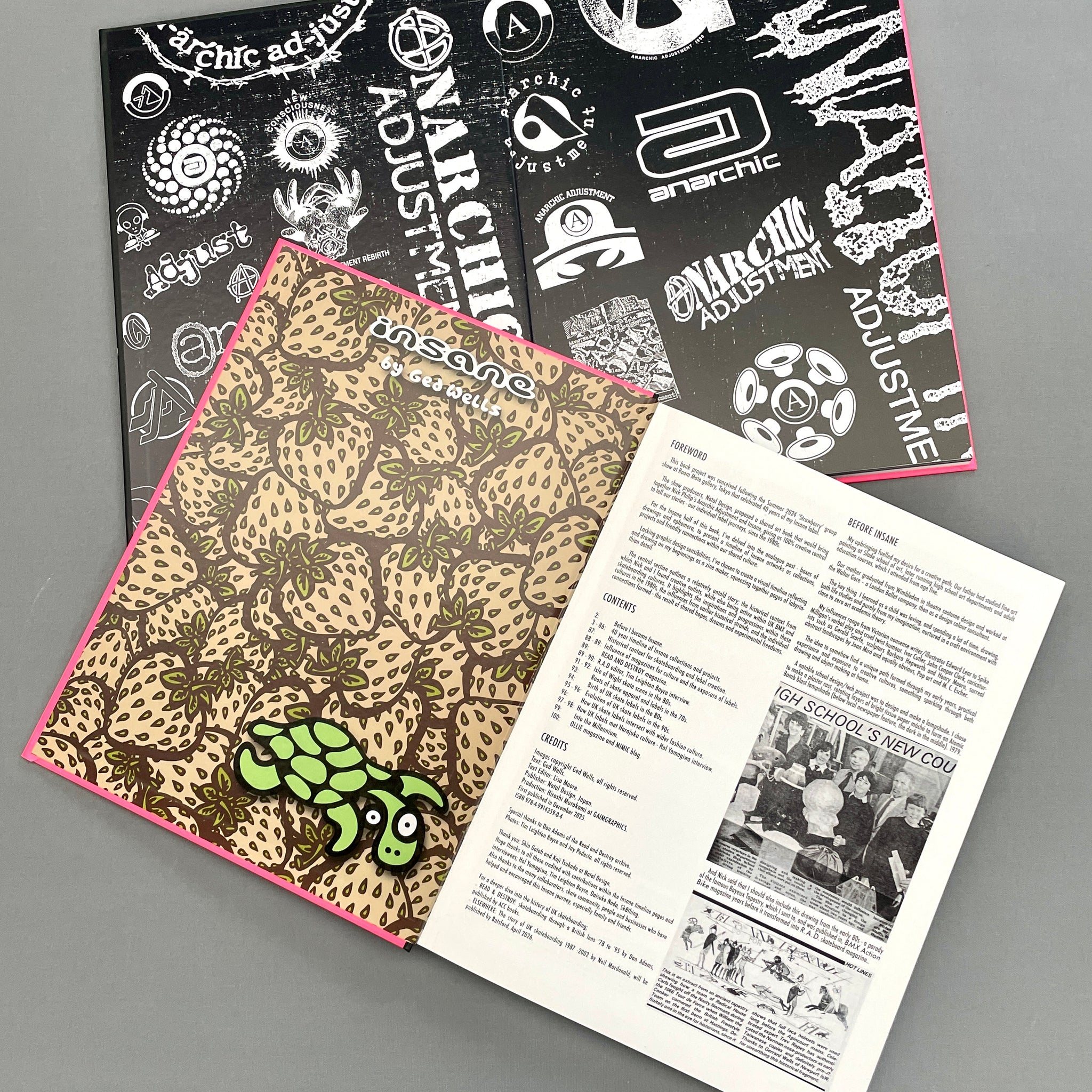 ANARCHIC ADJUSTMENT x INSANE Art Book – Insane Emporium