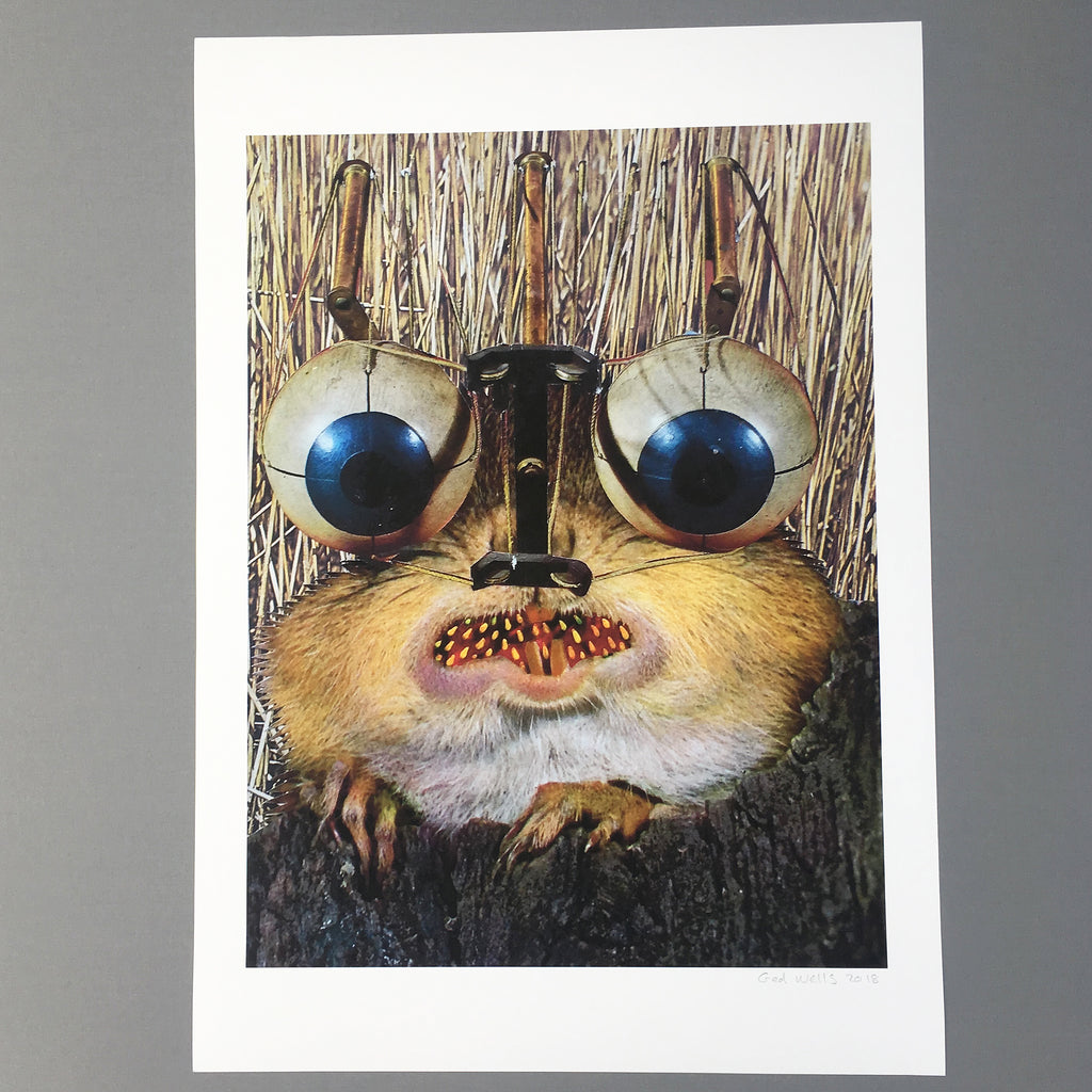 Rare Prairie Spectacle, A2 Giclée Print